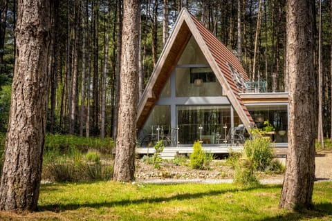 Liz's Lodge