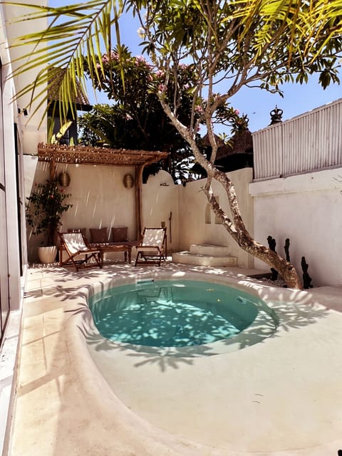 Relaxing courtyard featuring a tranquil plunge pool and comfortable lounge chairs