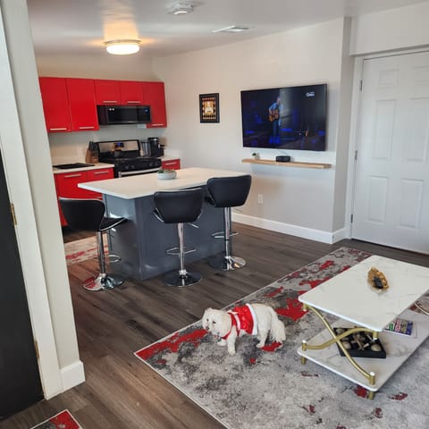Overview from entry of living room and kitchen