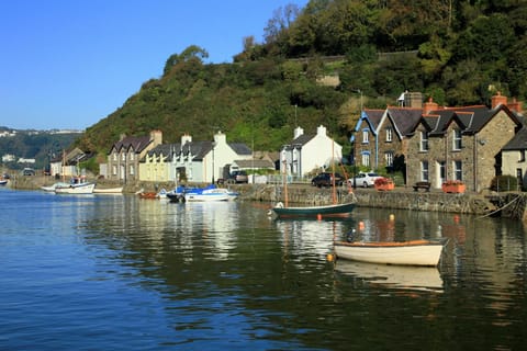 The harbour at Lower Fishguard, cottages on the quay and moored boats
