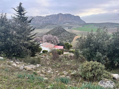 Cortijo Lucero and El Torcál