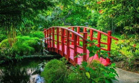 Miami Beach Botanical Garden