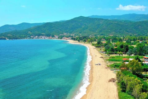 Olympiada Beach – 300m away – Long golden coast with turquoise waters.

