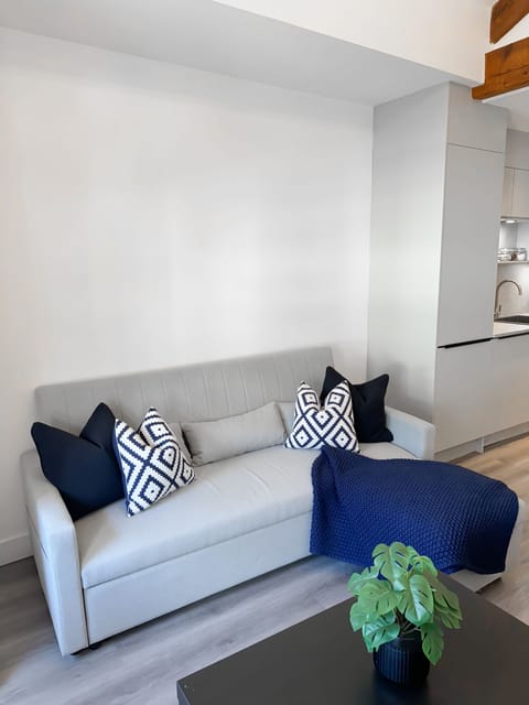 Apartment 4 Living Room