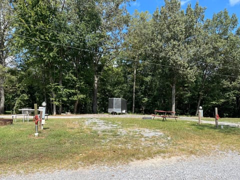 IMG 3953(1)