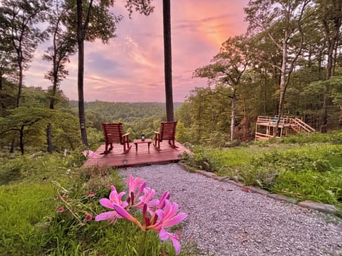 Summertime flowers and sunsets