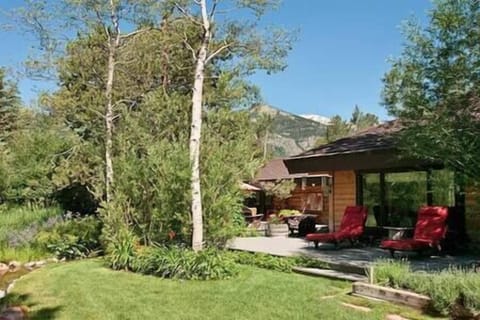 Patio, Lounge, BBQ area (1)