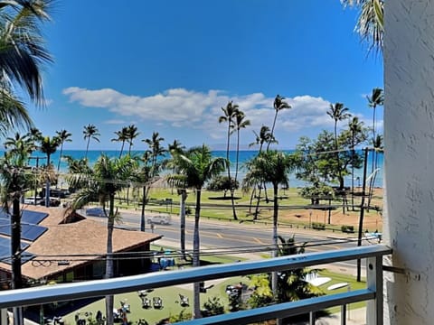Welcome to Island Surf 510