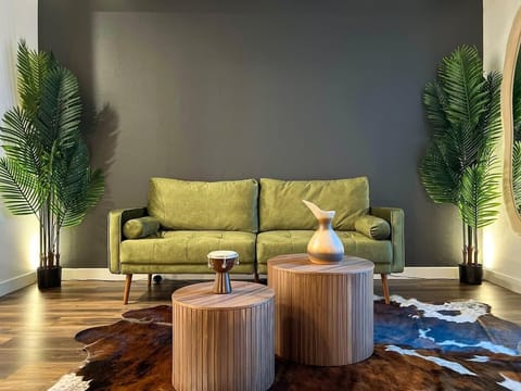 Modern Cosmopolitan Style Apartment  Living room with a sofa, and a 55" Smart TV (Netflix, Hulu, and Disney+ we logged them remotely) included for free.