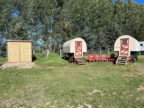 Sheep Camp