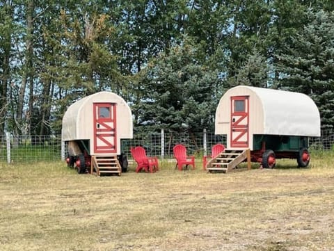 Sheep camps - Glamping at its finest..