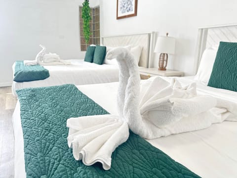 Spacious and serene with cozy bedding and natural light.