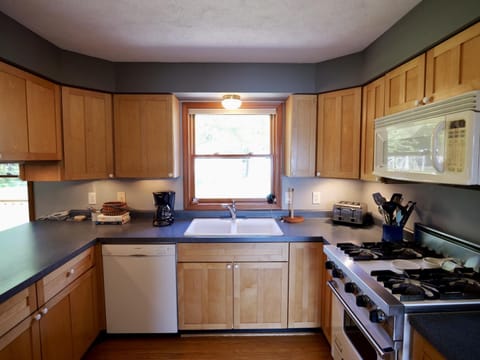 Chickadee on Drummond Island (2795)