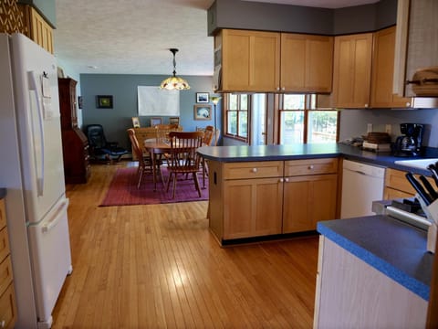 Chickadee on Drummond Island (2829)