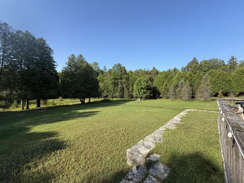 Trillium on Drummond Island (5088)