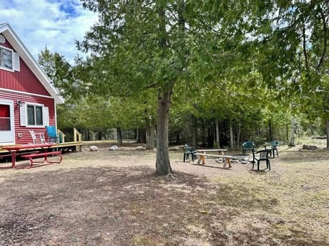 At the Trails on Drummond Island (4887)