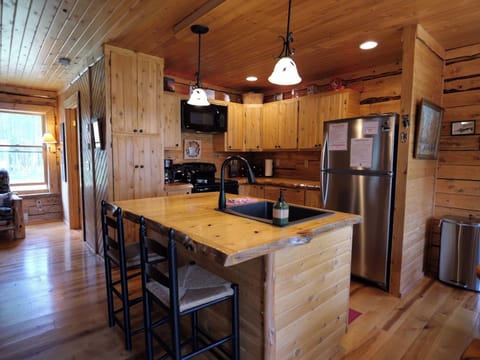 Loon Loft with The Loonlet Vintage Camper on Drummond Island (4353)