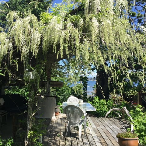 Wisteria tea house