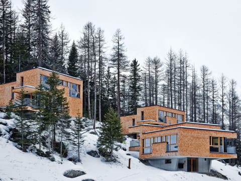 Snow, Building, Sky, Property, Window, Plant, House, Tree, Slope, Larch