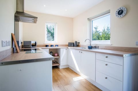 Skomer Lodge - 2 Bedroom Lodge - Manorbier (18586)