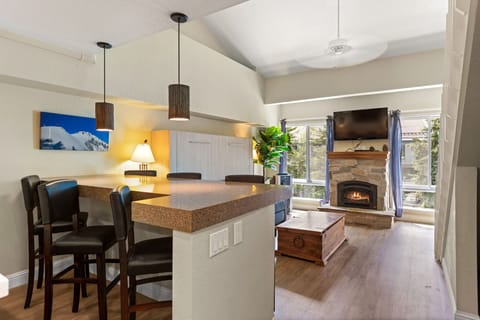 29-web-or-mls-PTL 336-25