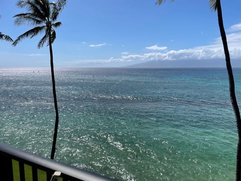 Completely unobstructed views from the lanai! 