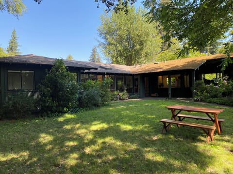 View from backyard towards house