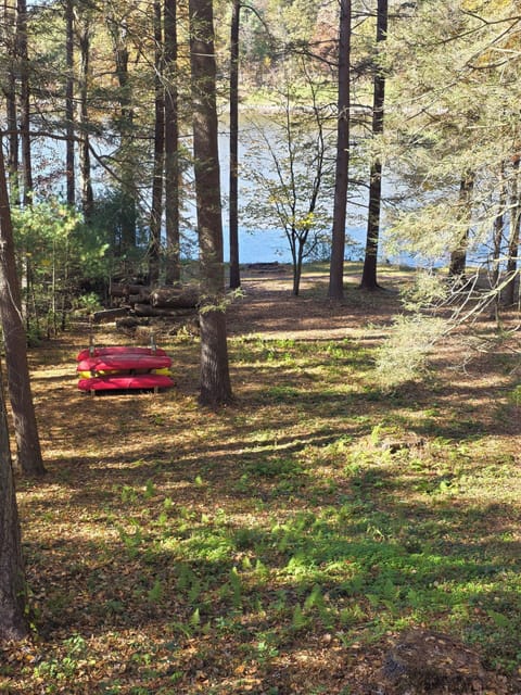 Back yard and lake