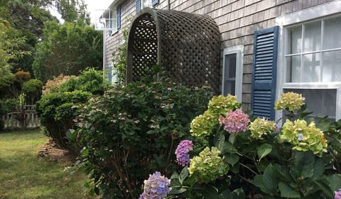 front door with small fenced in yard