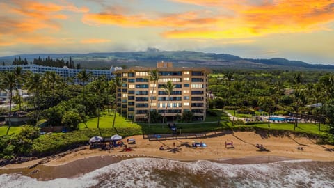 Polo Beach Club