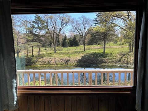 View from living room window