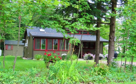 Itty and small shed behind