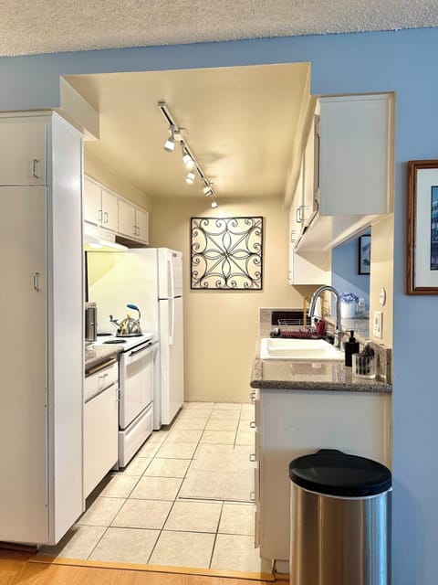 YOU WILL LOVE THIS KITCHEN AND ALL ITS AMENITIES, ITS EXQUISITE!