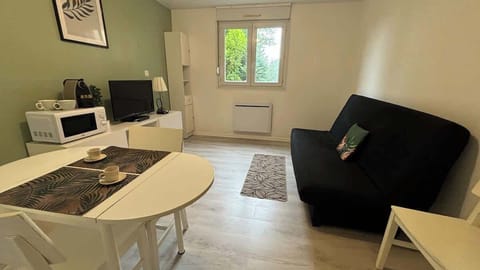 Salon avec canapé convertible et télévision, ouvert sur l'espace de cuisine et séparé de celui-ci par un coin repas pour deux personnes.