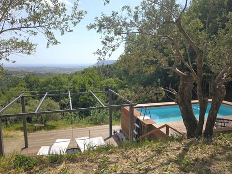 Garden, Outdoor, Pool