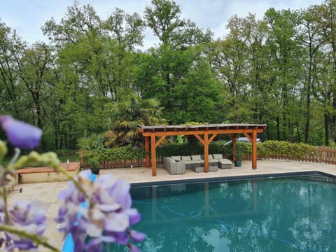 Swimming pool view