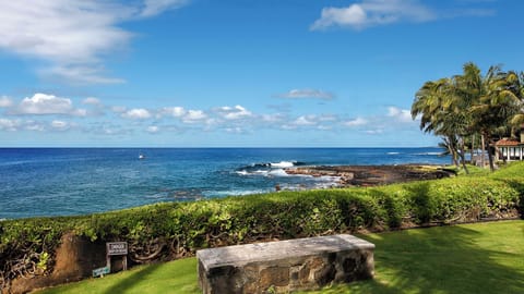 Whalers Cove Resort 4 - Parrish Kauai