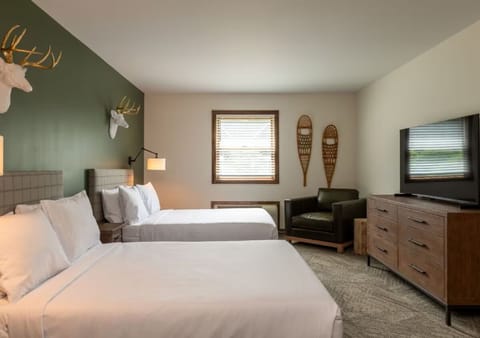 Arrive and relax in bright double beds with in-room TV.