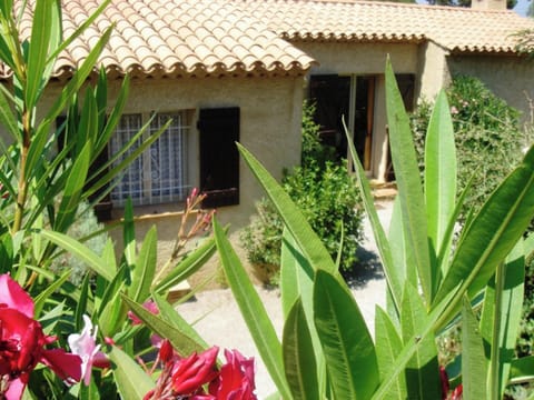 Front view