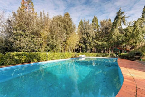 Swimming pool view