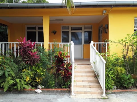Front view