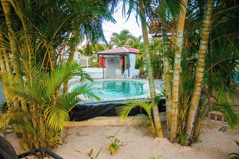 Swimming pool view