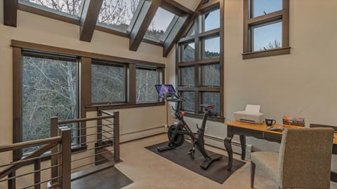 Loft level via spiral staircase leads to office space, more views, and a Peloton!