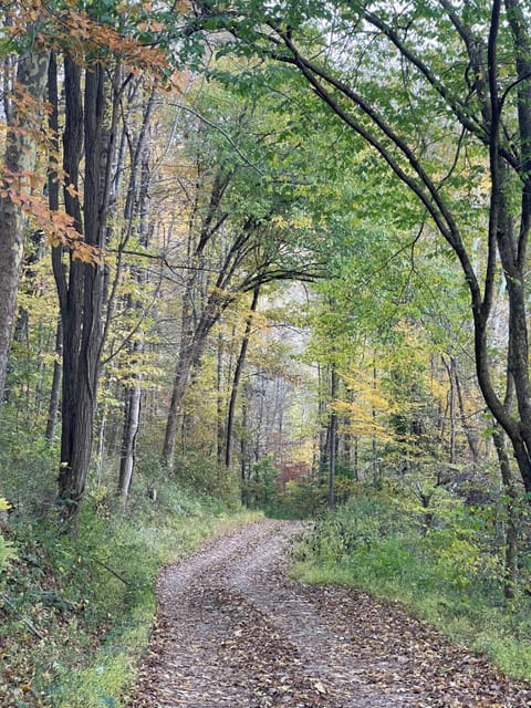 Heading down the driveway
