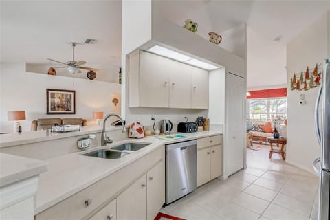 Kitchen Sink Quartz Countertops