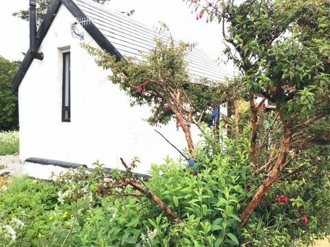 The barn from the outside