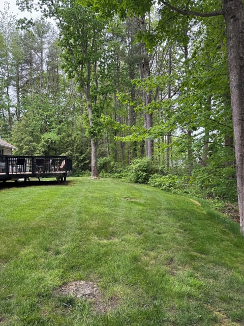 Large deck in tree-lined backyard, outdoor shower