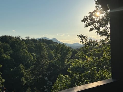 View from upper rear balcony.