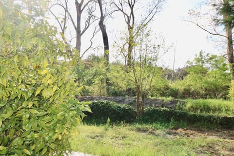 Gites Terra di a Bravona - Appartement O'Ma Vue sur Jardin