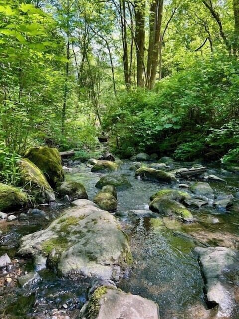 - Peaceful creek surrounded by lush green forest and rocks  
- Natural escape with scenic trails and refreshing water views  
- Serene spot for nature walks and outdoor relaxation nearby  
